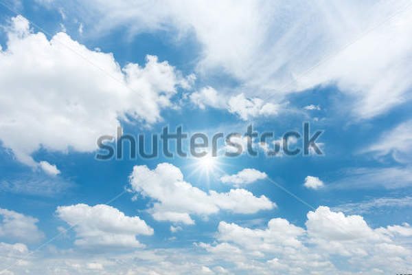  артикул 10028891