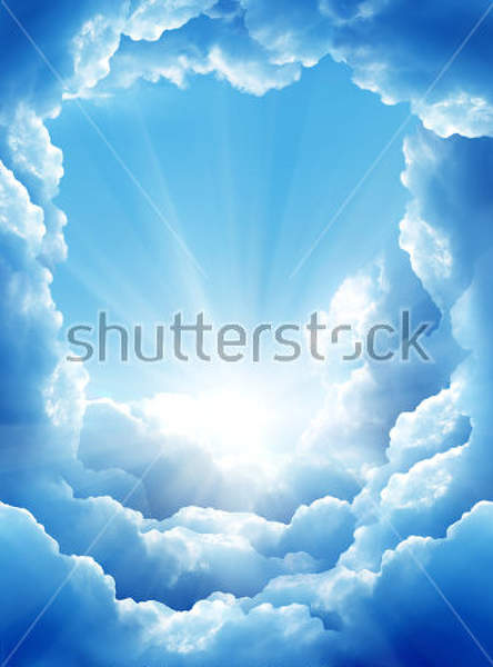  артикул 10028889