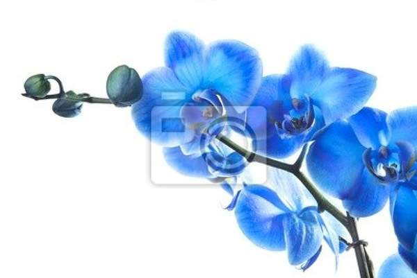  артикул 10028986