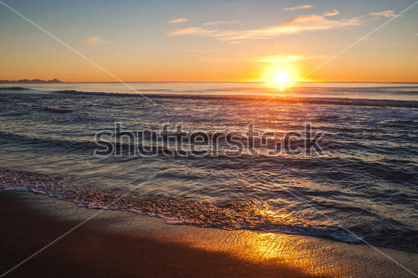 артикул 10029076