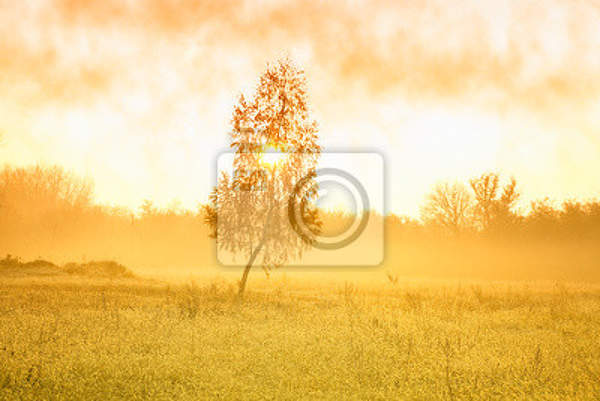  артикул 10029108