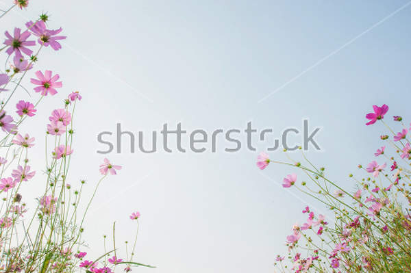  артикул 10029184