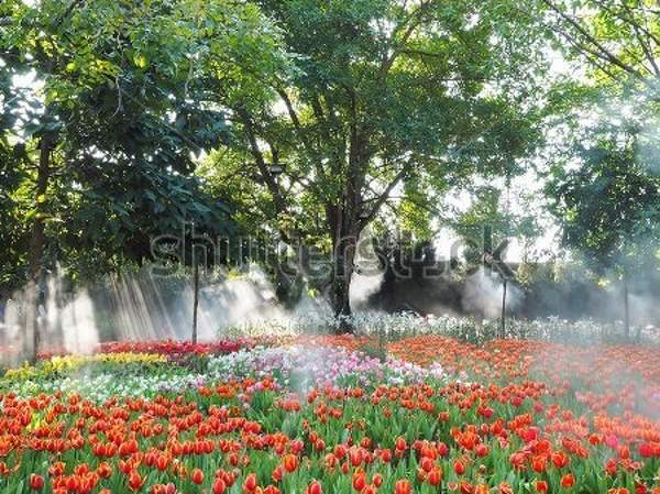  артикул 10029145