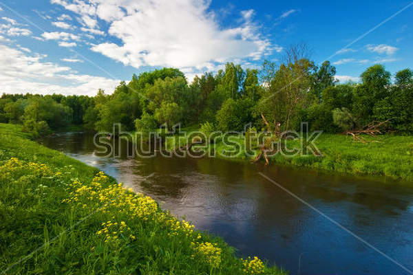  артикул 10029404