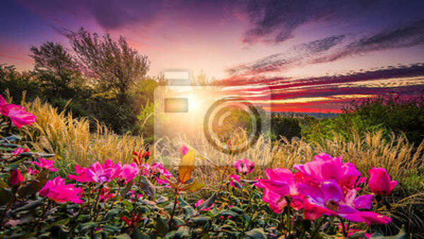  артикул 10029336