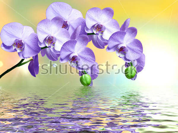  артикул 10029447