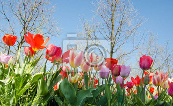  артикул 10029454