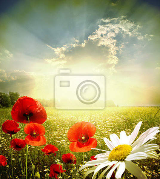  артикул 10029483