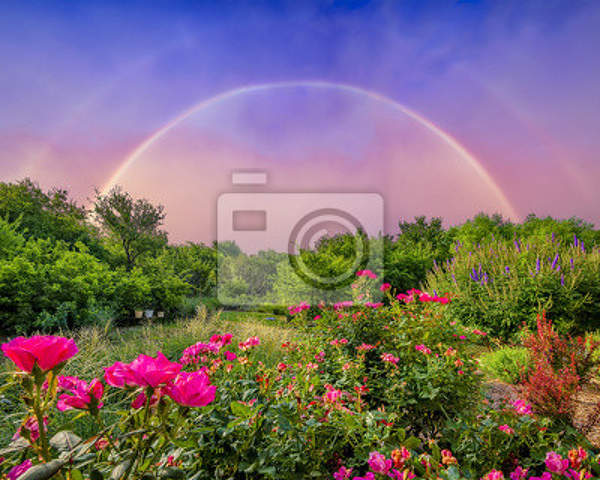  артикул 10029507