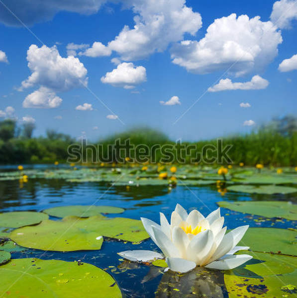  артикул 10029575