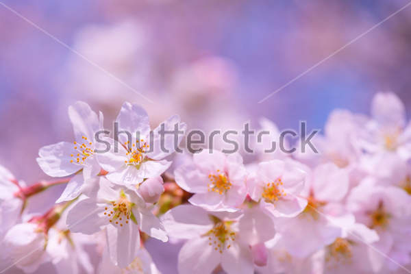  артикул 10029671
