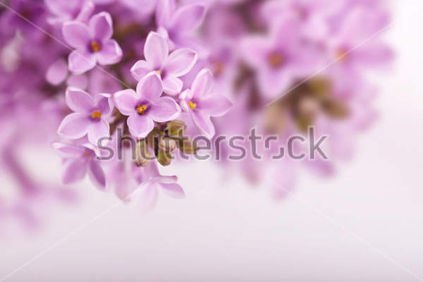  артикул 10029665