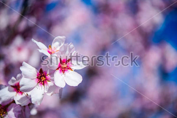  артикул 10029670