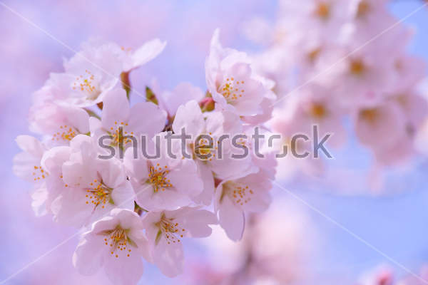  артикул 10029669