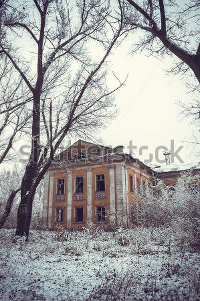  артикул 10029705