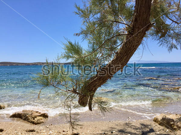  артикул 10029788