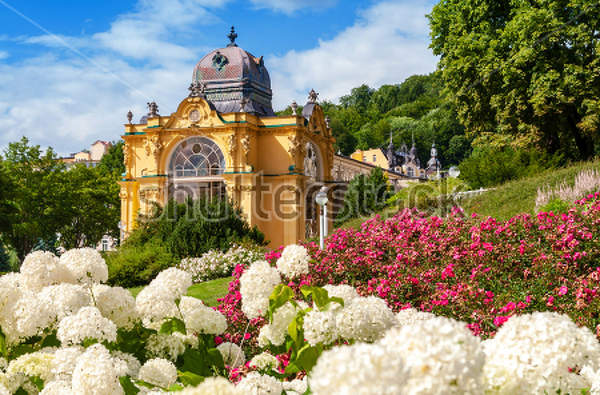  артикул 10029789
