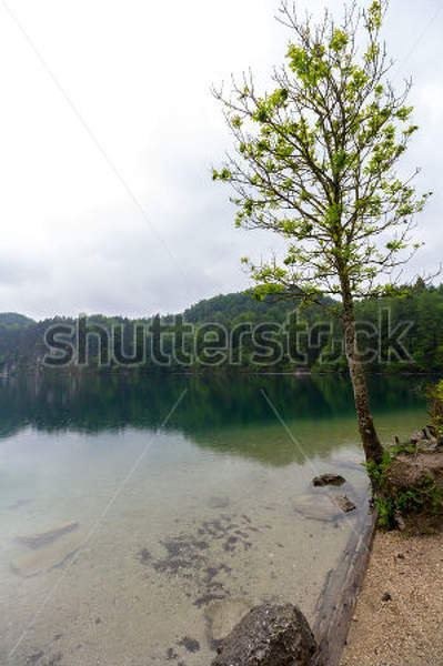  артикул 10029780