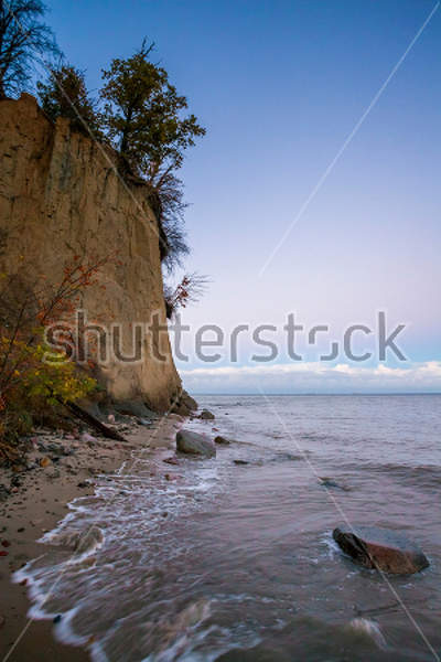  артикул 10029784