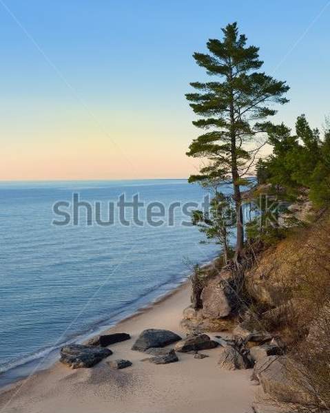  артикул 10029776