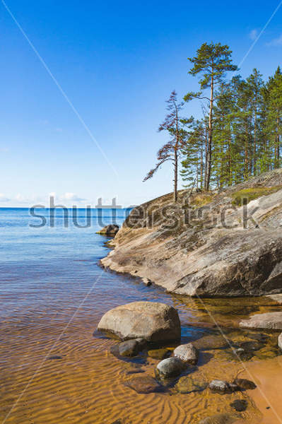  артикул 10029773