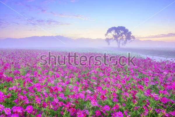  артикул 10029910