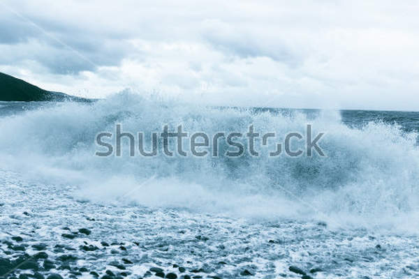  артикул 10029866