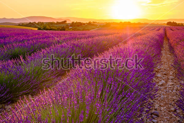  артикул 10029902