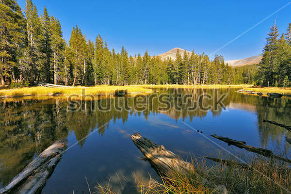  артикул 10029882