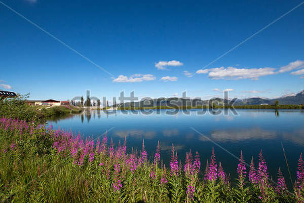  артикул 10029920