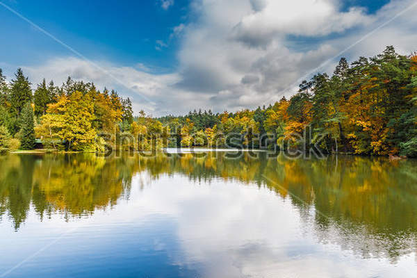  артикул 10029884