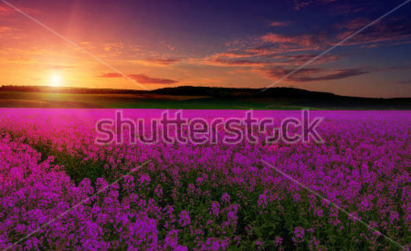  артикул 10029893