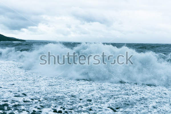  артикул 10029865