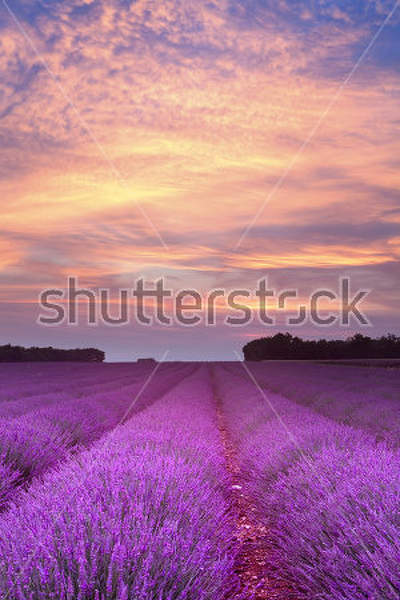  артикул 10029904