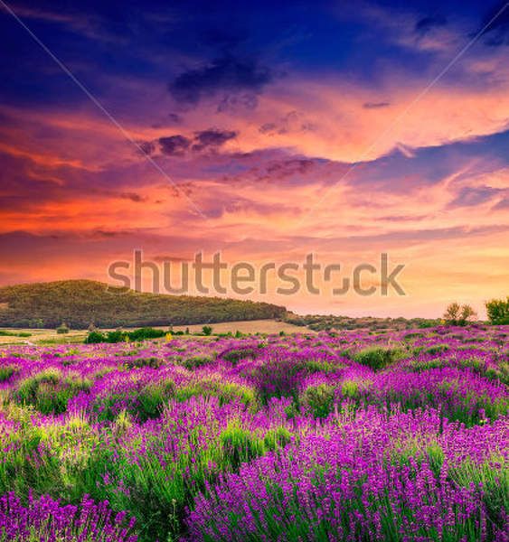  артикул 10029906