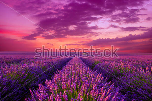  артикул 10029890