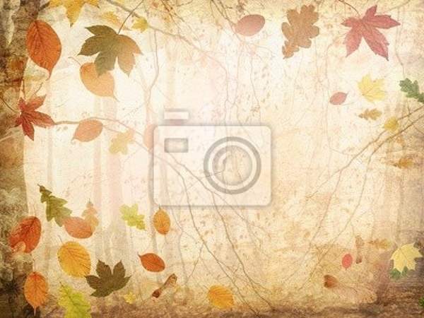  артикул 10030364