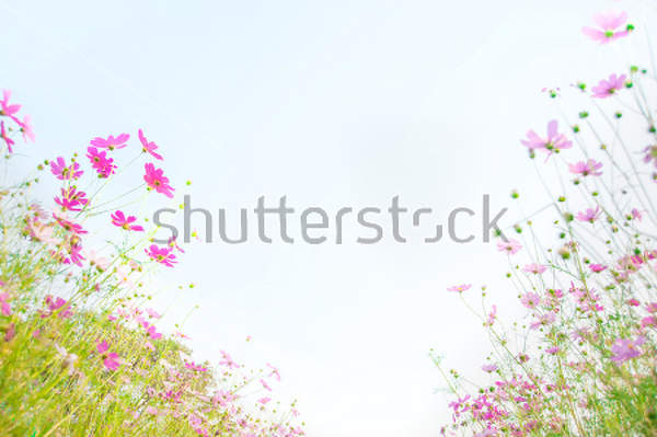  артикул 10030381