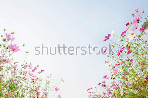  артикул 10030382