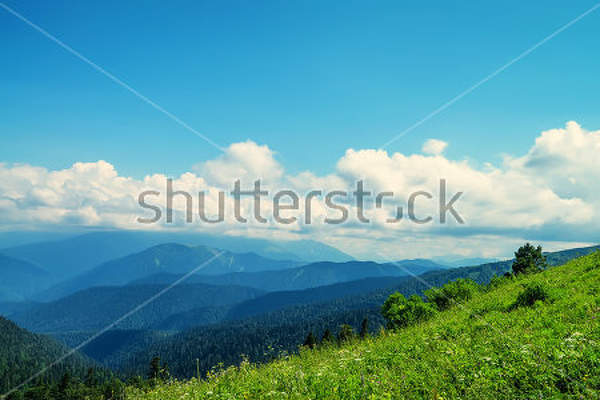  артикул 10030416