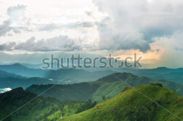  артикул 10030407