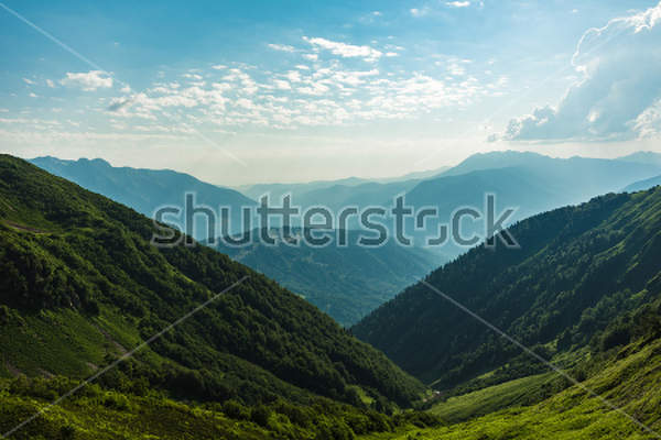  артикул 10030408