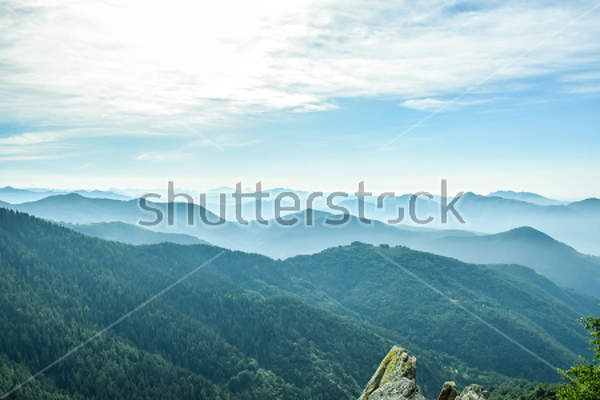  артикул 10030409