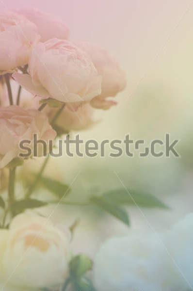  артикул 10030466