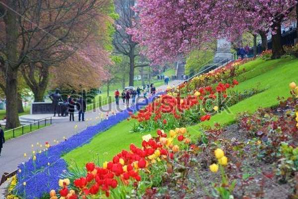  артикул 10030518
