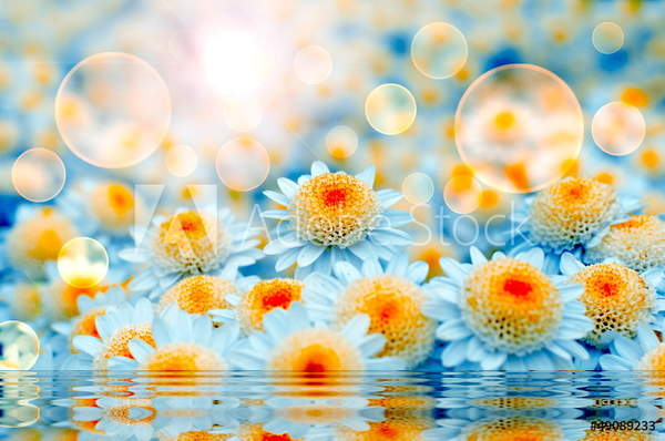 Фотообои - Весенние цветы на фоне воды артикул 10030730