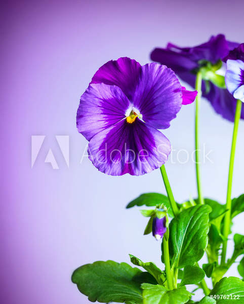  артикул 10030972