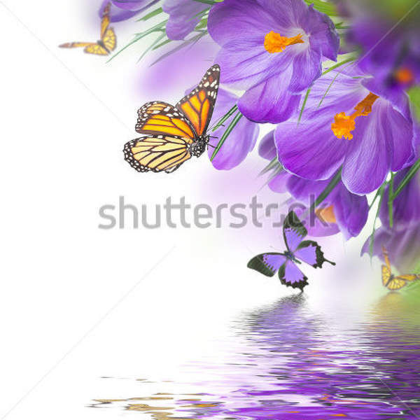  артикул 10032356