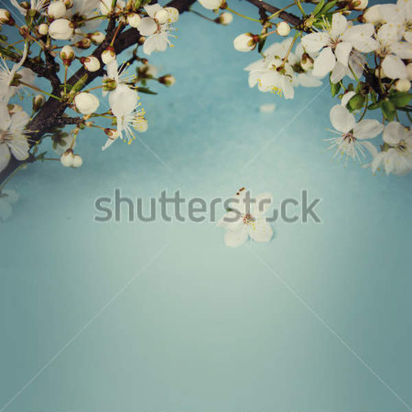  артикул 10032696