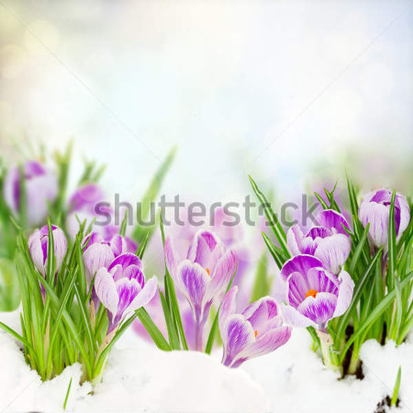  артикул 10032870